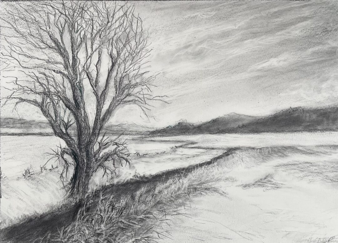 Tree 2