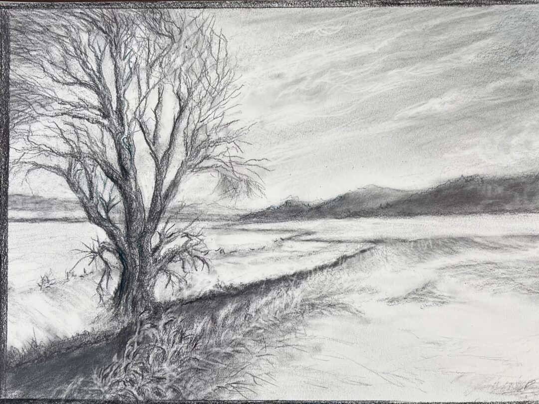 Winter tree carole