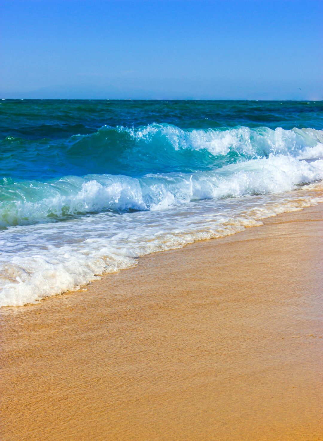 seascape reference summer