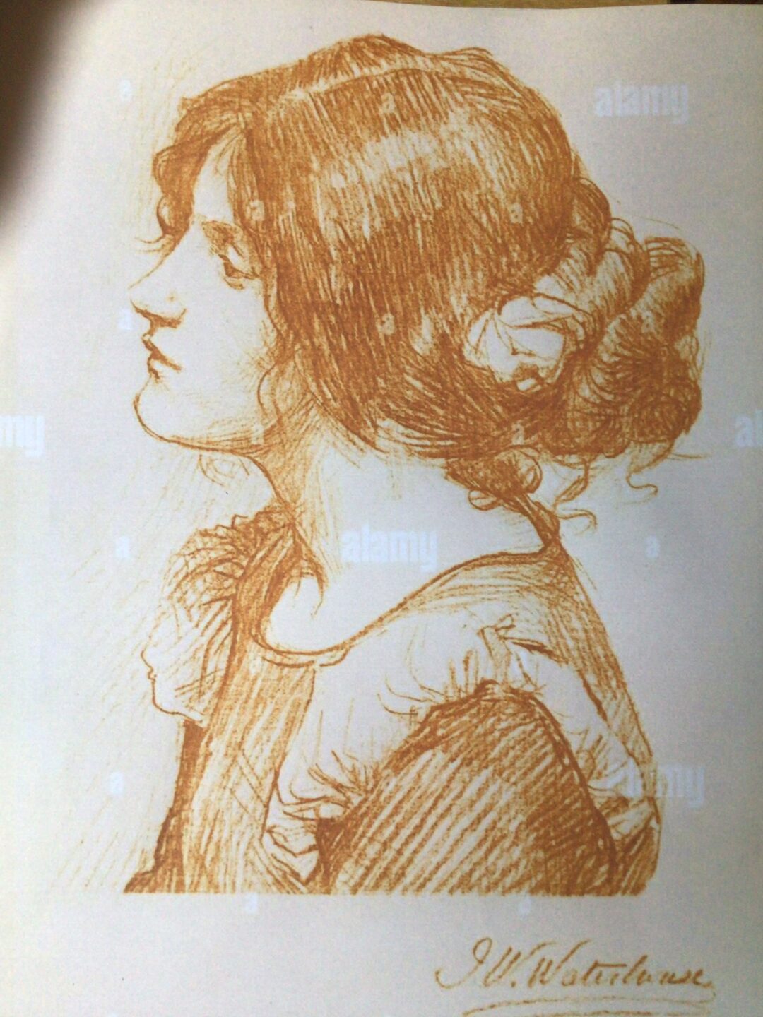 u2144-image-1