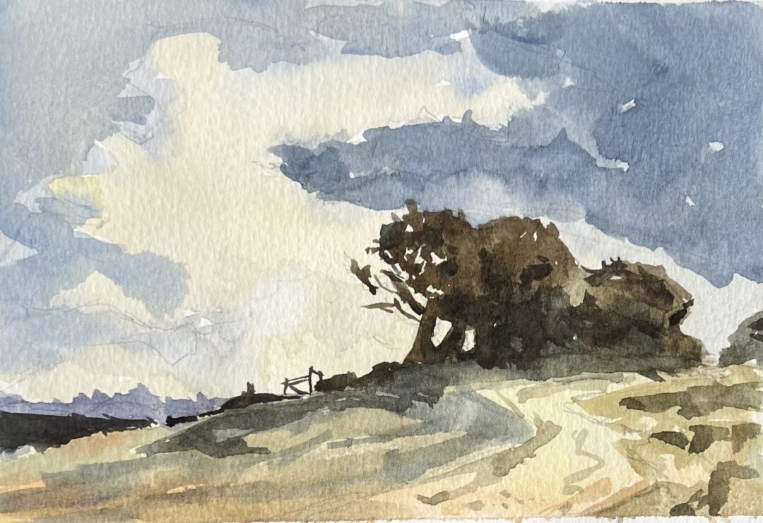 u2702-Brian-Copy-of-Seago-Reference