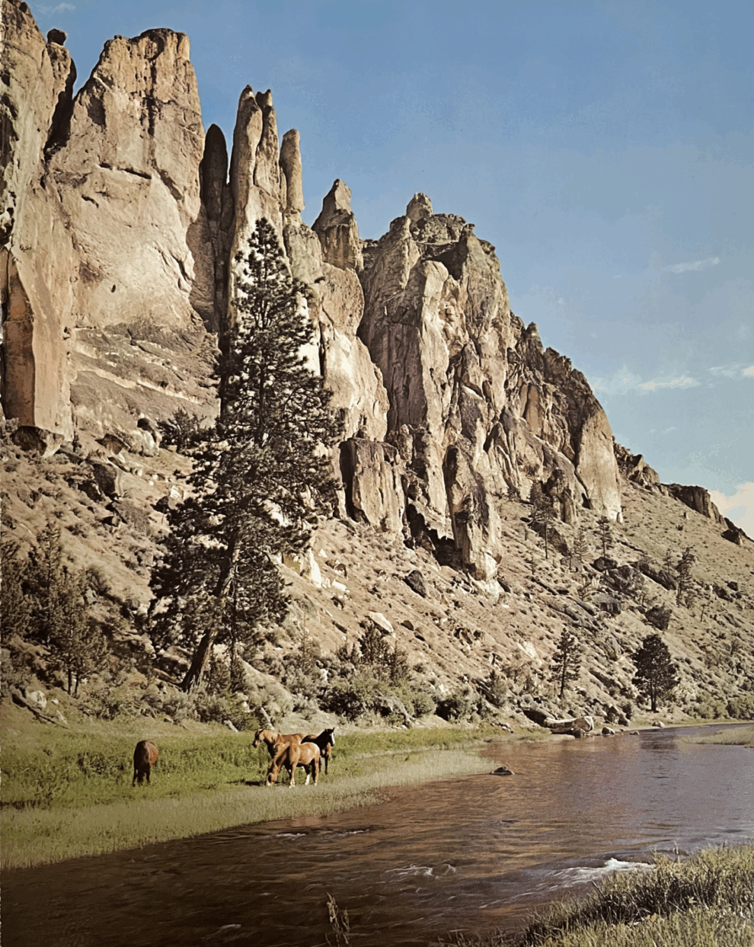 u773-Rock-Cliff