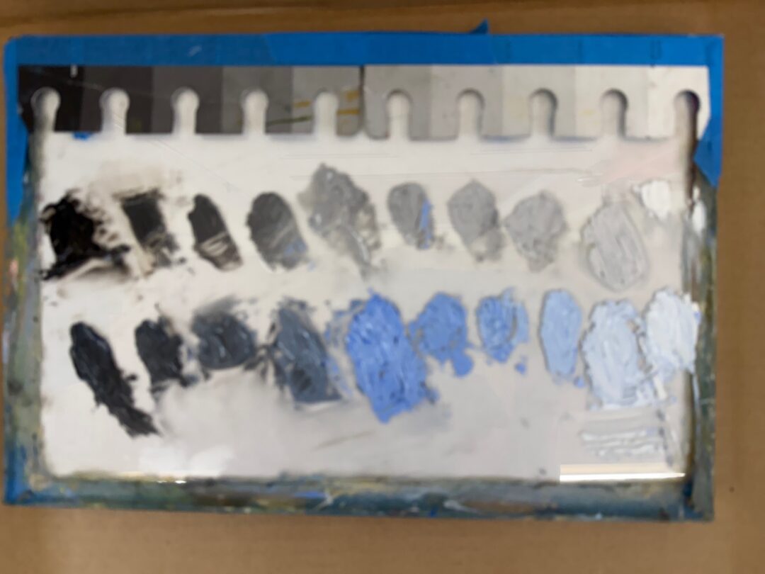 Carole Gray-scale-and-blue-color-string